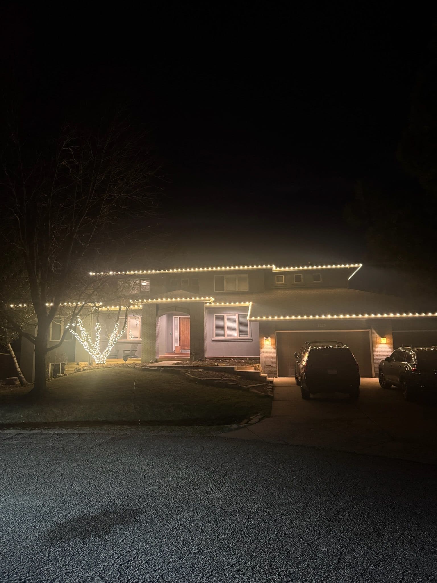 Project Festive Glow with Roofline Lighting and Tree Wrapping image