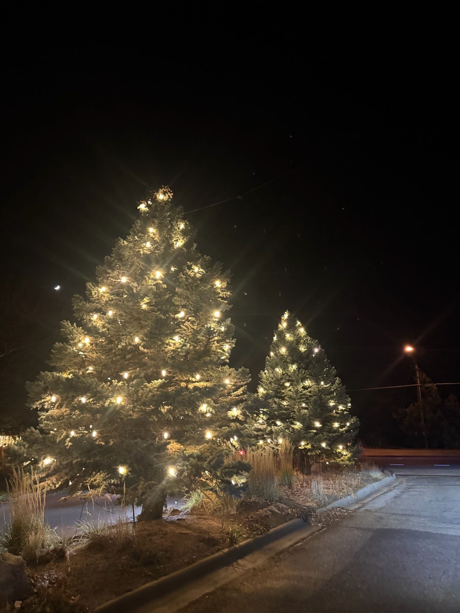Project Holiday Cheer and Bright Lights in Boulder image