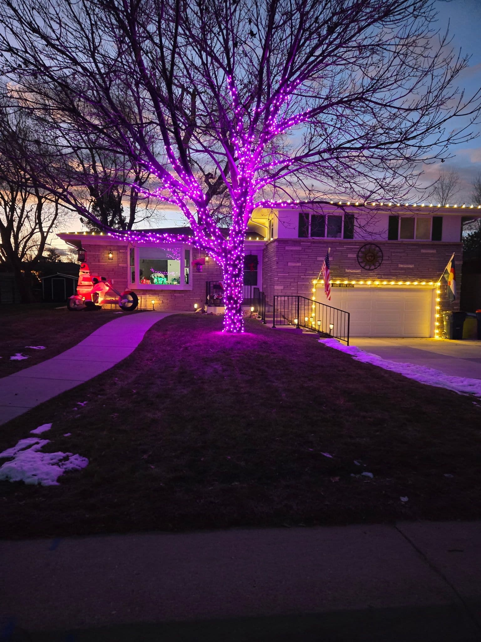 Project Holiday Glow with Purple and White Lights image