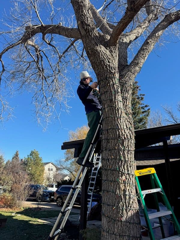 Gallery photos for Bringing Holiday Cheer to Boulder: Image #1