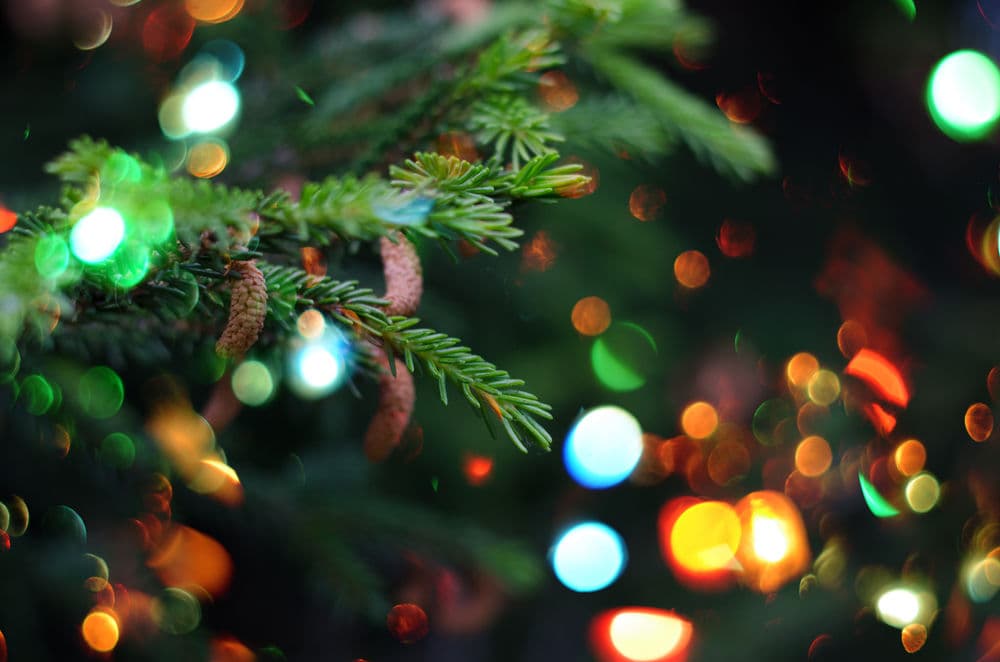 Contact form background